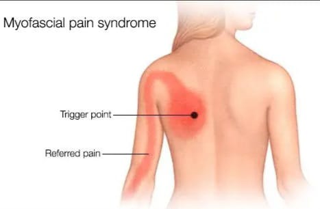 WhatsApp Image 2024-08-30 at 11.39.55_30202b57