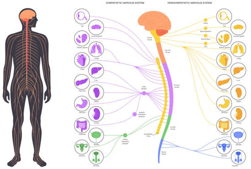 WhatsApp Image 2024-09-18 at 16.30.40_b40b0057