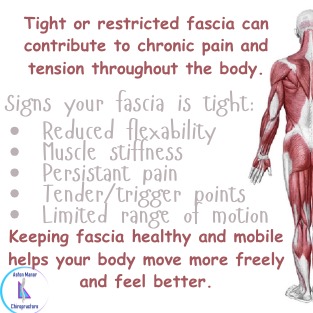 WhatsApp Image 2026-03-16 at 12.45.29