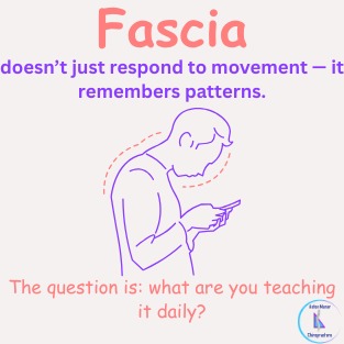 WhatsApp Image 2026-03-17 at 11.02.55