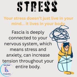 WhatsApp Image 2026-03-17 at 11.27.15