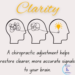 WhatsApp Image 2026-03-18 at 12.25.38a