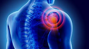 shoulder