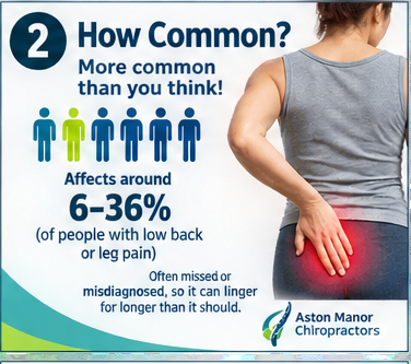 piriformis_poster_02