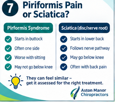 piriformis_poster_07
