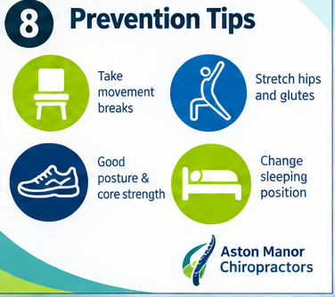 piriformis_poster_08
