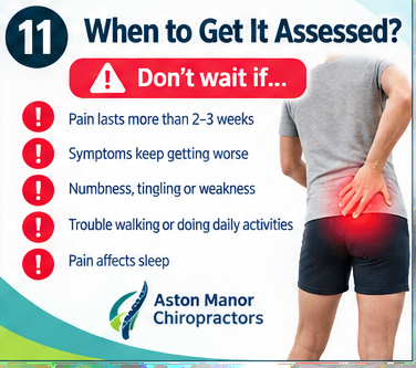 piriformis_poster_11